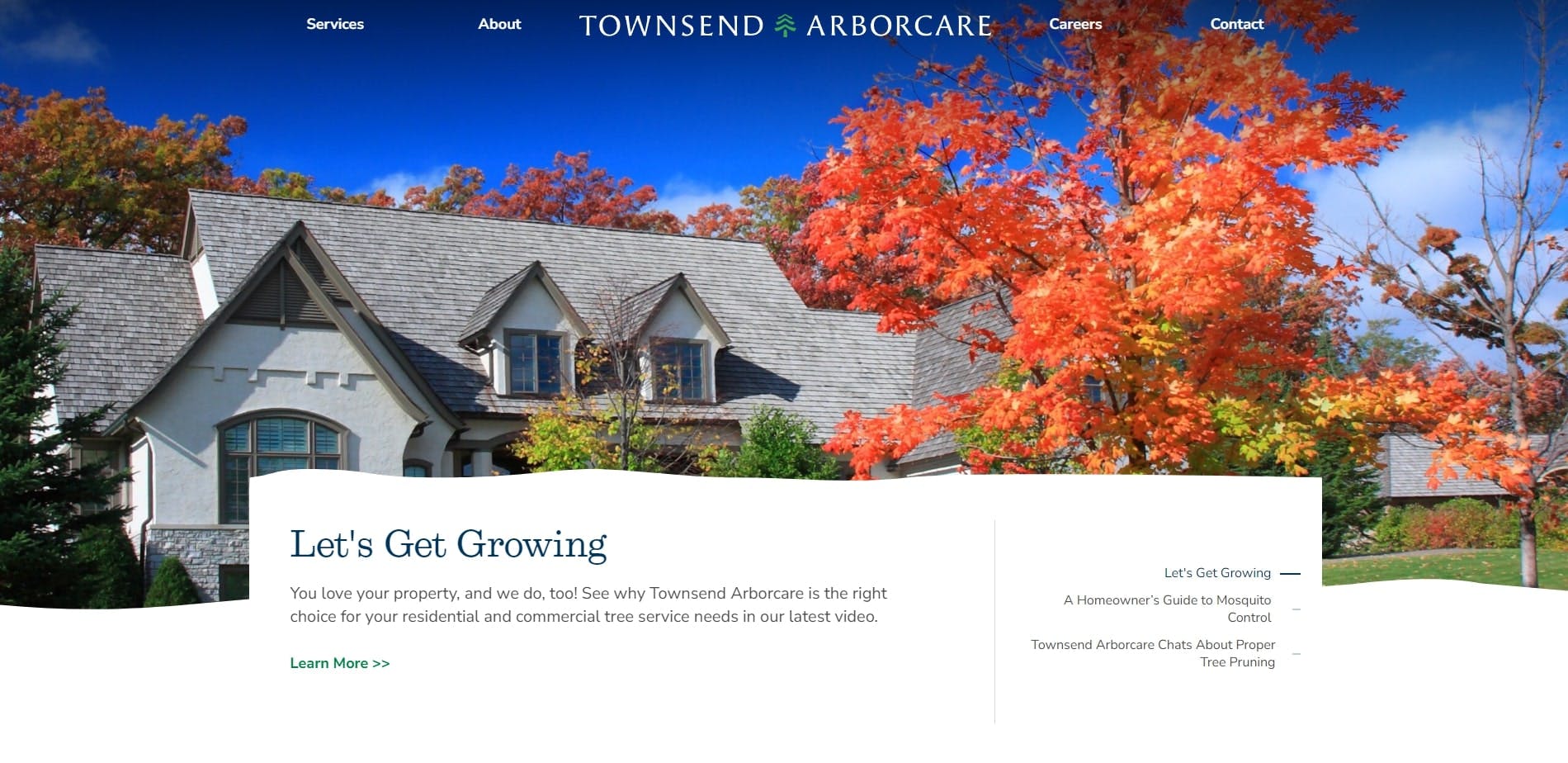 A screenshot of The Townsend Arborcare Homepage
